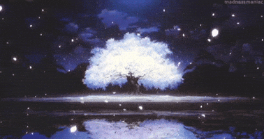 Zanzibar00010 GIF