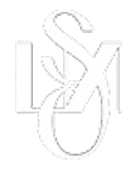 Slnc Sticker by SUNAHJUNG