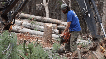 Chris Burns Chainsaw GIF by JC Property Professionals