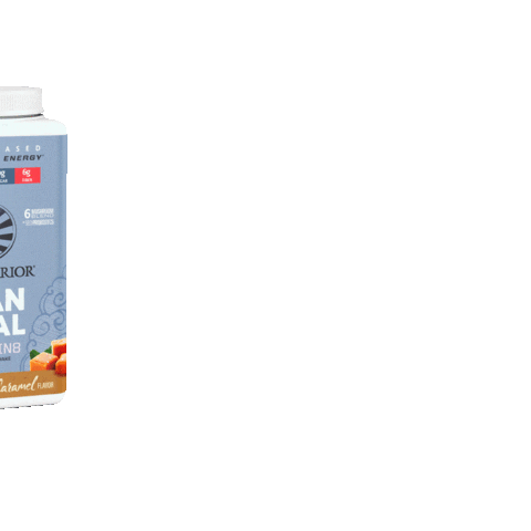 Sunwarrior Mexico Sticker