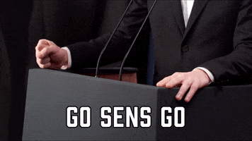 Ottawa Senators Hockey GIF by Sealed With A GIF