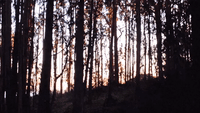 壁纸gif 在线和免费在gifburg 壁纸gif 在线和免费在gifburg