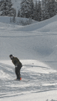 Flip Wow GIF by X Games