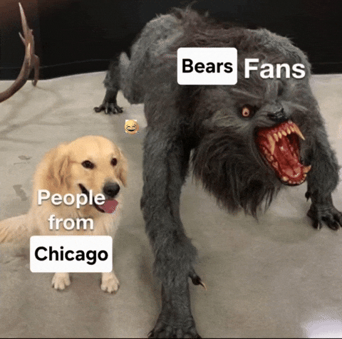 Chicago Bears GIF