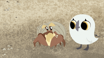 hermit crab love GIF by Puffin Rock