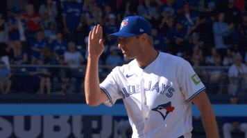 Mad Max Baseball GIF by Toronto Blue Jays