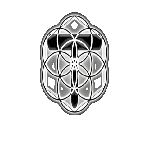 Psy Psytrance Sticker by TrancedencyaOfficial