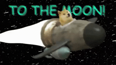 Giphy - To The Moon Meme GIF by Shibetoshi Nakamoto