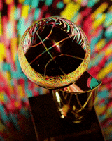 200.gif?cid=fc005b0802e031512c080ccfc1dd3a06ae7a4b9172ed3d72&rid=200.gif&ct=g