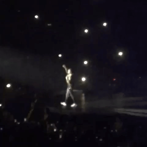 niv purposetour GIF
