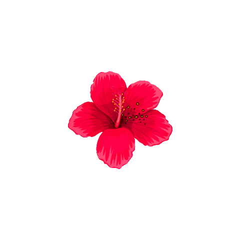 Kalia Nature Sticker