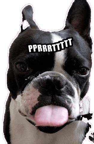 Pprrrttttt Sticker