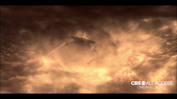 horvathadamtamas  GIF