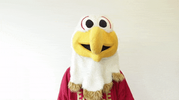 Shocked Oh No GIF by Bridgewater College