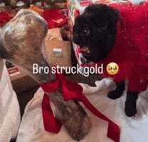 Christmas Pug GIF