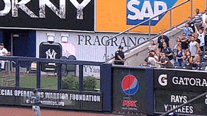 new york baseball GIF by MLB