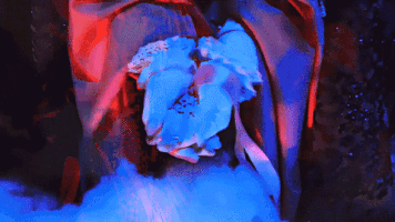 GIF by U.S. Girls