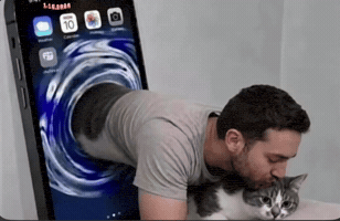 Petting Pet Cat GIF