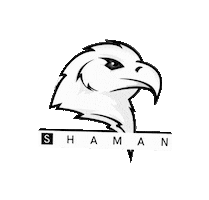 shamanrecords Sticker