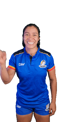 Tucanessueñomundial Sticker by Federación Colombiana de Rugby