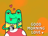 Good Morning Hello GIF - Find & Share on GIPHY