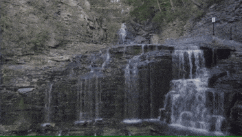 200.gif?cid=fc005b0835b0915ac1b8cb2b1e61510159b6a25754bc1e29&rid=200.gif&ct=g