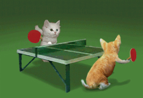 table tennis GIF