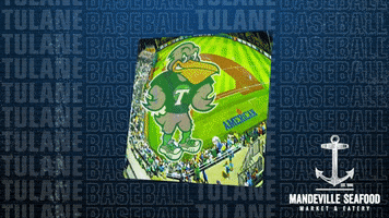 Tulane Green Wave Double Play GIF by GreenWave