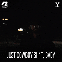 Cole Hauser Cowboy GIF by Yellowstone