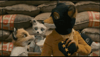 Wes Anderson Mask GIF