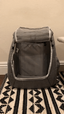 The Navigator Cat Backpack GIF by Your Cat Backpack Travel Cat