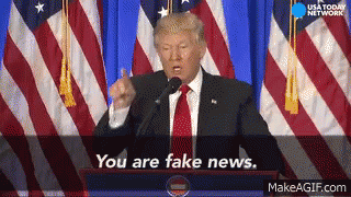 Political gif. Donald Trump stands behind a podium and points out to the audience in front of him. He says, “You are fake news.”