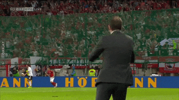 national team victory GIF