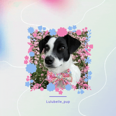 Lulu Hello GIF