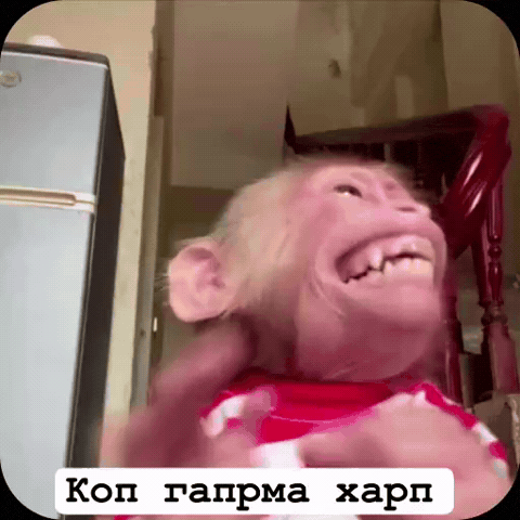 Analgin GIF