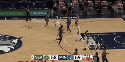 Wnba GIF