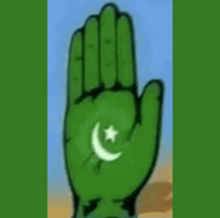 Mahatma Gandhi Congress GIF