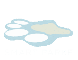 Smart Parke Sticker