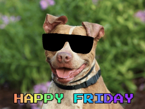 happy friday images funny