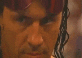  wwe bret hart bret the hitman hart GIF