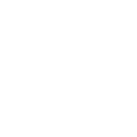 SC Department of Revenue Sticker
