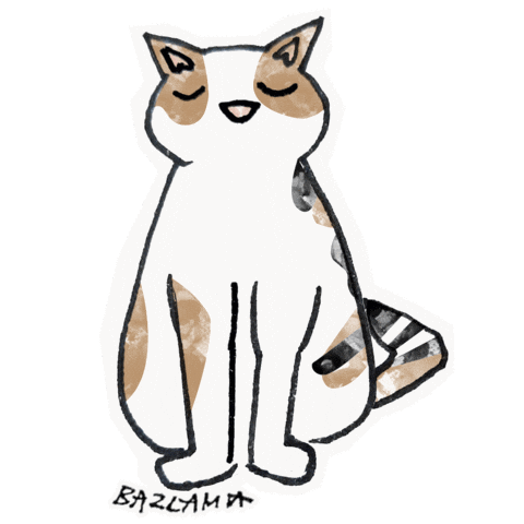 Cat Waiting Sticker by ÇeşmeBazlamaKahvaltı