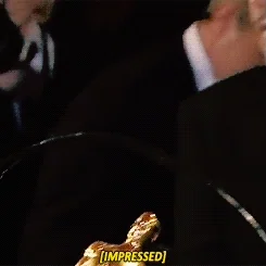 Leonardo Dicaprio Oscars GIF