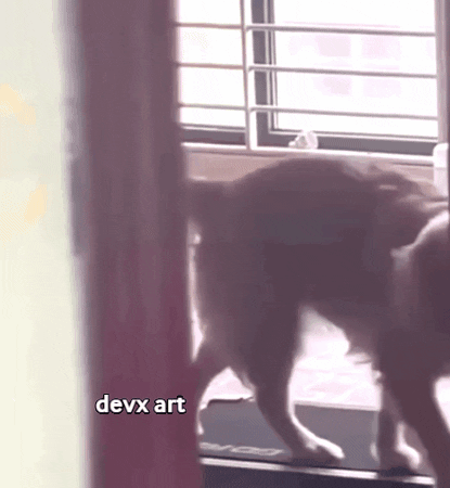 Dog Working Out GIF by DevX Art