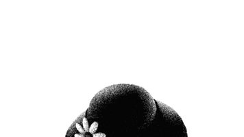 Piggy GIF