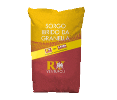 RV-Venturoli Sticker