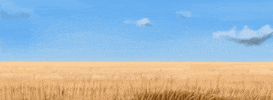 stewartimel  GIF