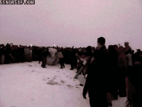 Snowball Win GIF - Find & Share on GIPHY