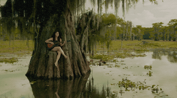 Music Video GIF