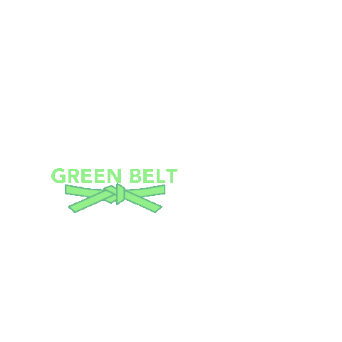 Kaizen Institute México Sticker